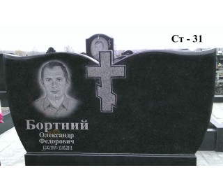 Ст-31